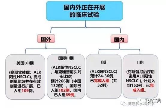 王亚军最新微博动态，探索未知的旅程与坚持的力量