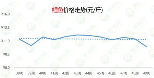 今日水产价格最新行情分析