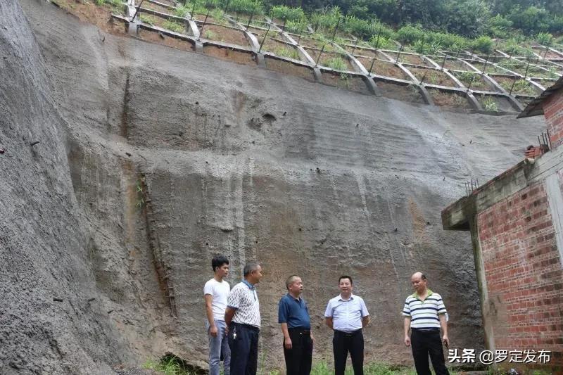 最新台风消息广东鹦鹉——一场自然界的挑战与应对