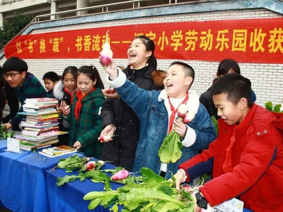 杭州萧山最新建设，城市繁荣的新引擎