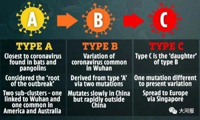 最新病毒征兆，全球警惕与应对策略