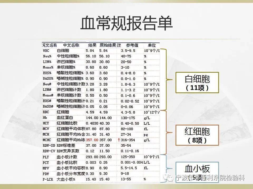 血常规最新版，深入理解与应用