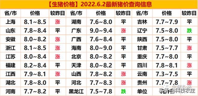 今日肥猪价格最新行情分析