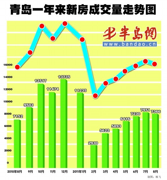 今日上午金乡最新行情分析