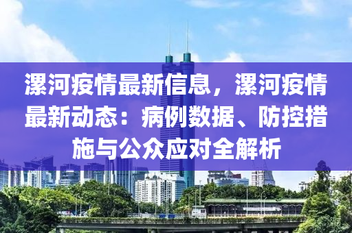 河肥疫情最新消息全面解析