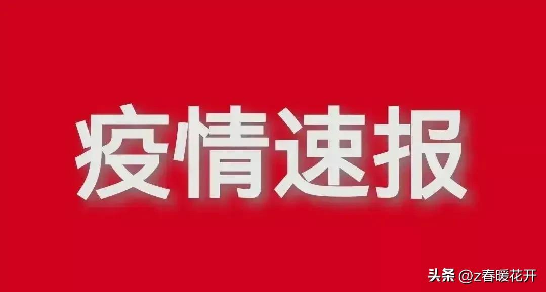 内蒙古市疫情最新情况分析