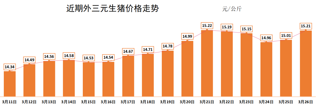 最新生猪价格趋势分析