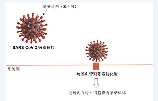 最新全球新冠病毒病例及其影响